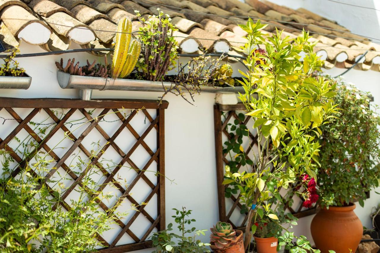 Casa Turistica Patio Cordobes - Parking Privado En La Juderia Cordoba