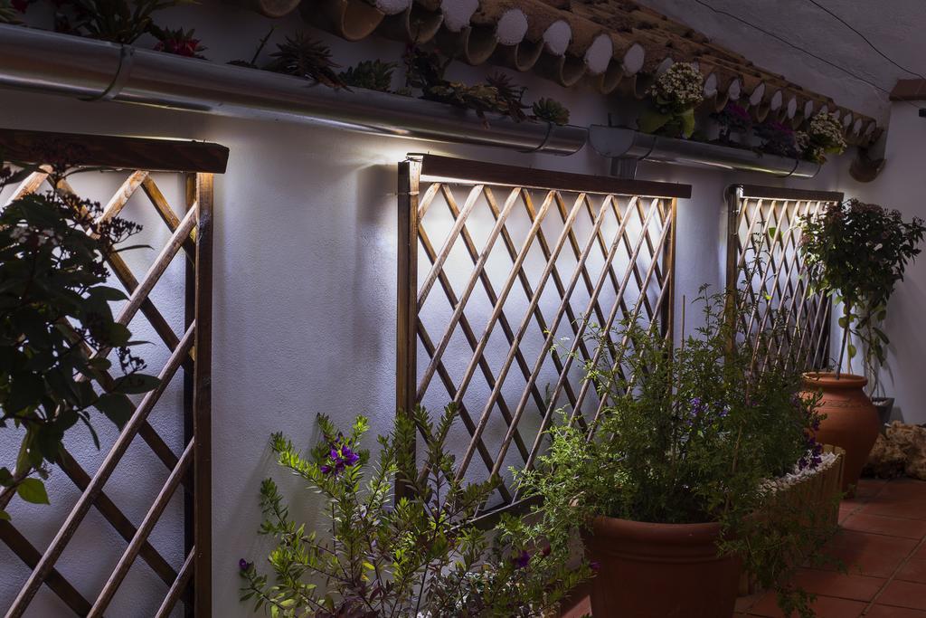 Casa Turistica Patio Cordobes - Parking Privado En La Juderia Apartment